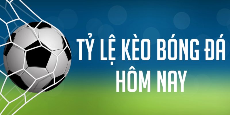 Cách xem và phân tích tỷ lệ kèo